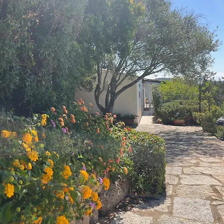 New Casa Singola Costa Smeralda-porto Cervo-pevero Casa vacanze Porto Cervo