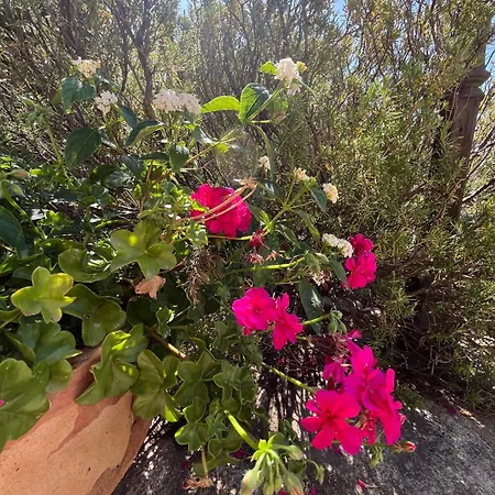 New Casa Singola Costa Smeralda-porto Cervo-pevero Prázdninový dům Porto Cervo