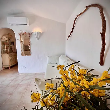 New Casa Singola Costa Smeralda-porto Cervo-pevero Porto Cervo